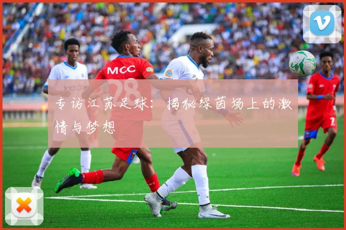 专访江苏足球：揭秘绿茵场上的激情与梦想
