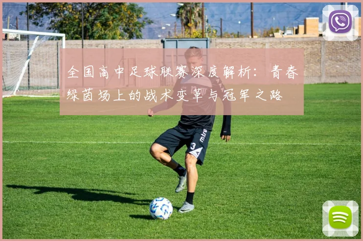 全国高中足球联赛深度解析:青春绿茵场上的战术变革与冠军之路